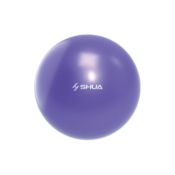 SH-S511-瑜伽球2.jpg
